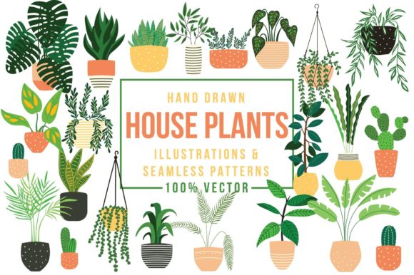 House Plants Illustrations Patterns in Daily Life